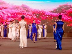 重慶第五屆職業(yè)教育活動周啟動，茶藝、扎染、3D打印與禮儀文化共展職教風(fēng)采